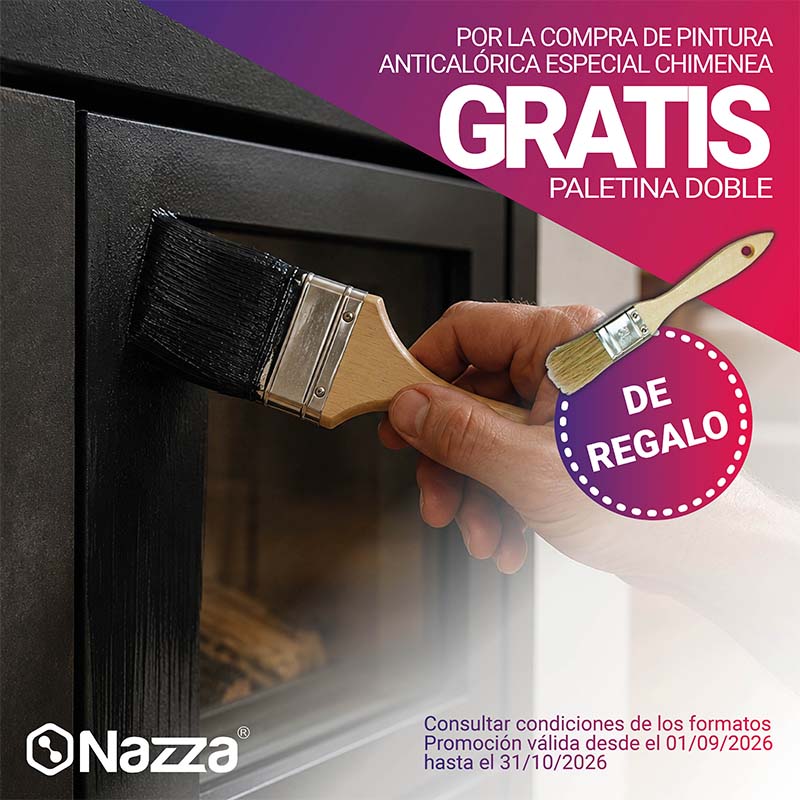 promoci&oacute;n pintura antical&oacute;rica